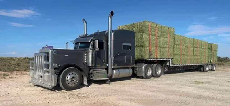hay suppliers near me