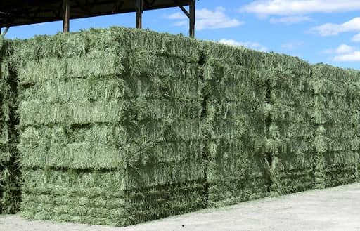 Buy hay online